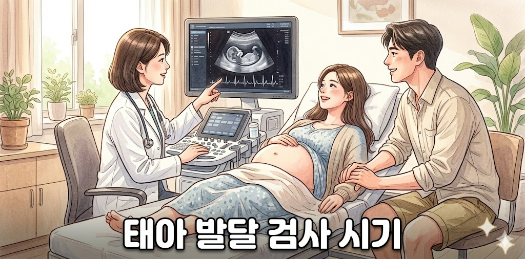 썸네일 태아 발달 검사 시기