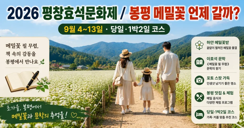 2026 평창효석문화제 마지막 주말 봉평 메밀꽃밭 여행
